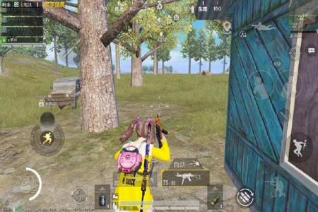 和平精英小黄鸡辅助闪退怎么办(和平精英辅助闪退怎么解决) 和平精英小黄鸡辅助闪退怎么办(和平精英辅助闪退怎么解决)