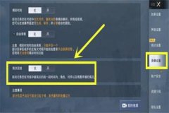 和平精英有外挂了怎么开（和平精英外挂应该怎么开）