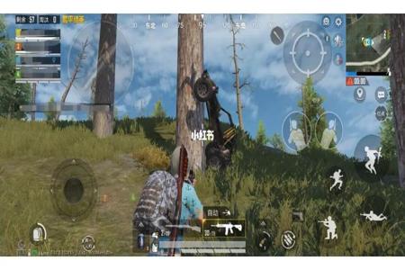 和平精英有人敢开外挂吗(和平精英有人开外挂) 和平精英有人敢开外挂吗(和平精英有人开外挂)