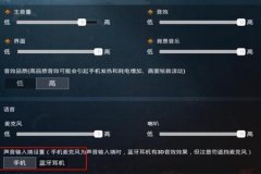 和平精英怎么设置不用外挂（和平精英中怎么设置外挂）