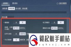 和平精英辅助瞄准器是什么（和平精英辅助瞄准是什么东西）