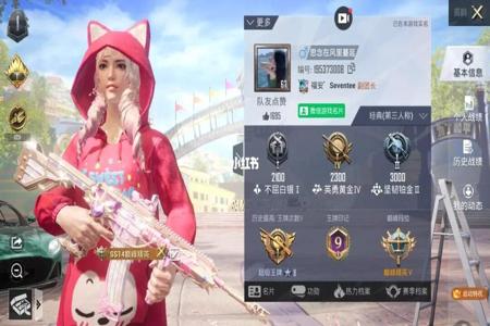 和平精英丽莎辅助怎么用(和平精英辅助夹子怎么用) 和平精英丽莎辅助怎么用(和平精英辅助夹子怎么用)