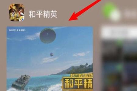 和平精英辅助功能软件叫什么名字(和平精英辅助器软件叫什么) 和平精英辅助功能软件叫什么名字(和平精英辅助器软件叫什么)