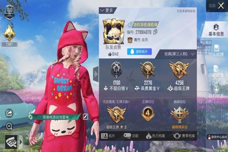 和平精英gm服有官方外挂吗 和平精英gm服有官方外挂吗