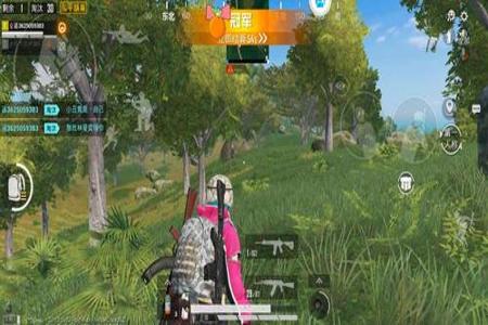 2024和平精英透视辅助ios(和平精英透视辅助下载ios) 2024和平精英透视辅助ios(和平精英透视辅助下载ios)