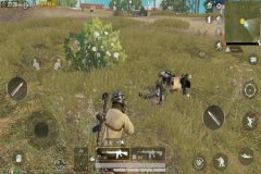 和平精英比赛要求关辅助瞄准吗（和平精英职业比赛开辅助瞄准吗）