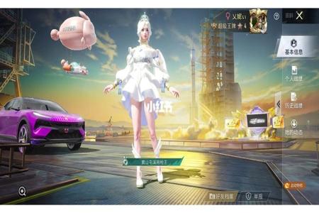 和平精英外挂和平精英手游(和平精英手游科技) 和平精英外挂和平精英手游(和平精英手游科技)