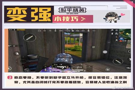 和平精英什么辅助器好用点(和平精英开的什么辅助器) 和平精英什么辅助器好用点(和平精英开的什么辅助器)